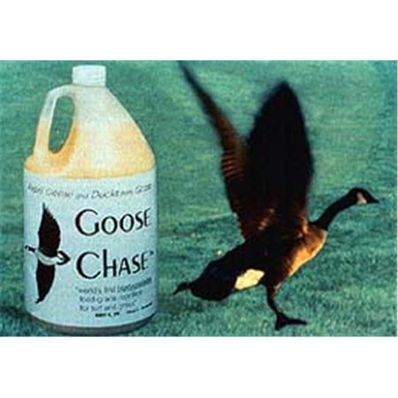 BIRD-X Bird-X BS-GAL Bird Stop Goose Chase Repellent Chemical BS-GAL